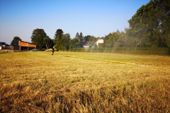 IMG-20190626-WA0030