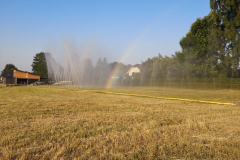 IMG-20190626-WA0035