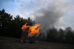 IMG_2875-min-scaled